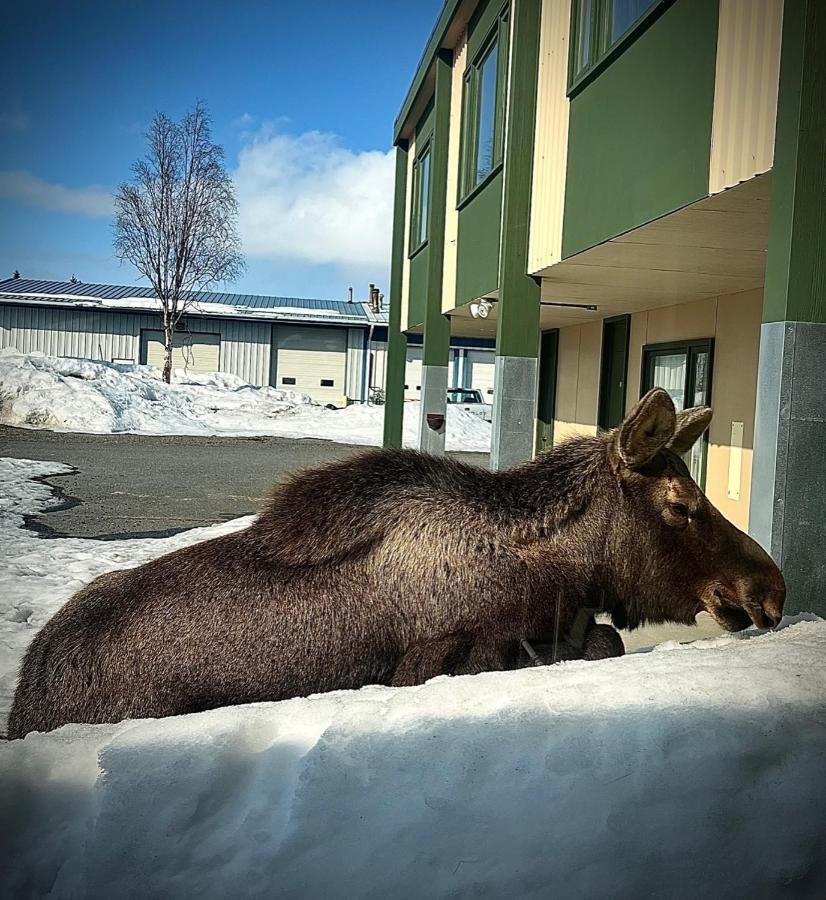 The Kenai Inn Esterno foto